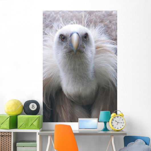 Geier Wall Mural