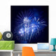 Fireworks Wall Decal Design 1