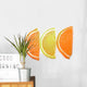 citrus Wall Decal