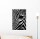 Zebra Wall Mural