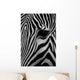 Zebra Wall Mural