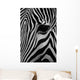 Zebra Wall Mural