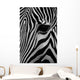 Zebra Wall Mural