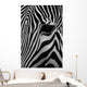 Zebra Wall Mural
