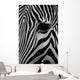 Zebra Wall Mural