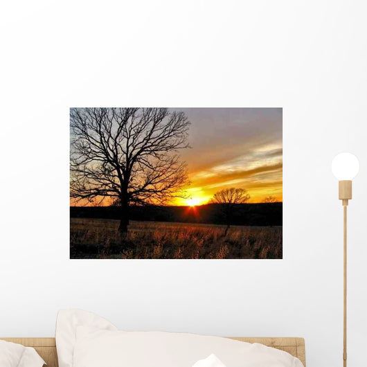 Oklahoma Winter Sunset 2 Wall Decal