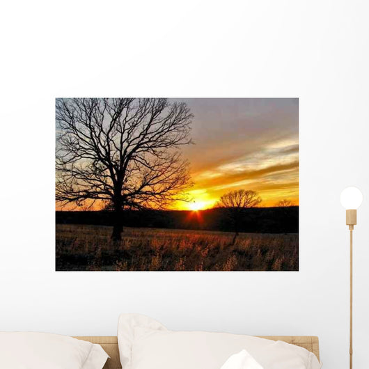 Oklahoma Winter Sunset 2 Wall Decal