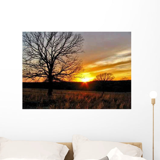 Oklahoma Winter Sunset 2 Wall Decal