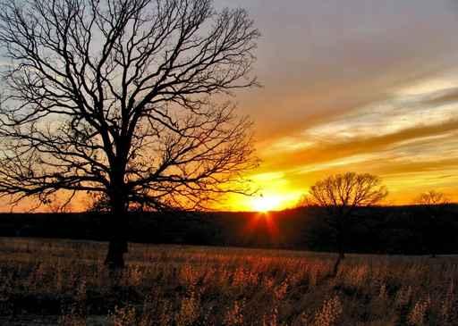 Oklahoma Winter Sunset 2 Wall Decal