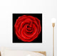 Beautiful red rose, symbol of love and passion Wall Mural