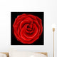 Beautiful red rose, symbol of love and passion Wall Mural