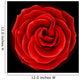 Beautiful red rose, symbol of love and passion Wall Mural