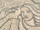 Woman Figure Illustration