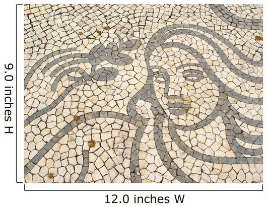 Woman Figure Illustration