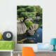 Japanese garden Wall Mural