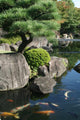 Japanese garden Wall Mural