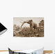 The Chatham Elephant From Fossil Remains 400 Wall Mural