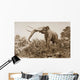 The Chatham Elephant From Fossil Remains 400 Wall Mural