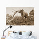 The Chatham Elephant From Fossil Remains 400 Wall Mural