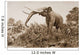 The Chatham Elephant From Fossil Remains 400 Wall Mural