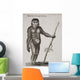 Satyrus, Ourang Outang Engraved By Barlow, 18Th Century Wall Mural