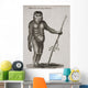 Satyrus, Ourang Outang Engraved By Barlow, 18Th Century Wall Mural