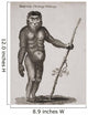 Satyrus, Ourang Outang Engraved By Barlow, 18Th Century Wall Mural
