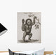 Satyrus, Ourang Outang Pongo Or Jocko Engraved By Barlow Wall Mural