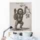 Satyrus, Ourang Outang Pongo Or Jocko Engraved By Barlow Wall Mural