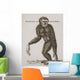 Simia Lar, Great Gibbon Engraved By Barlow, 18Th Century Wall Mural