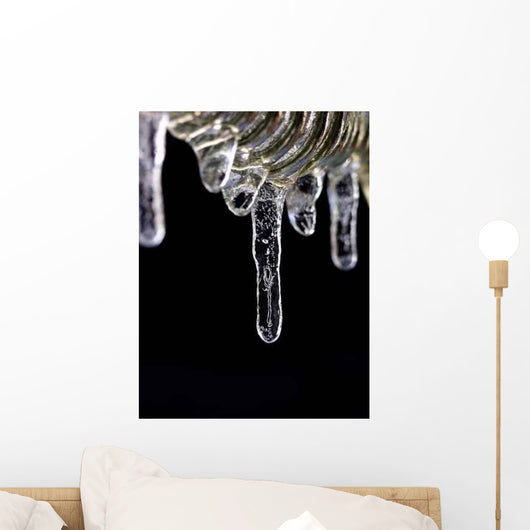 Ice Art Wall Mural