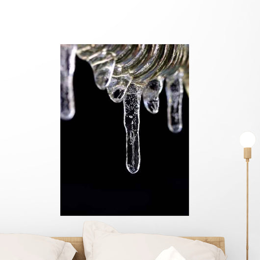 Ice Art Wall Mural