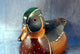 Carved Duck