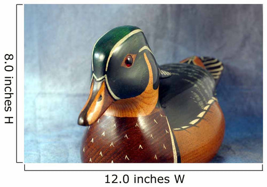 Carved Duck