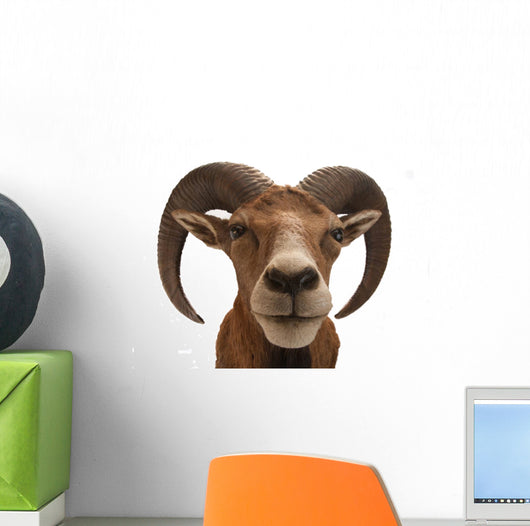 Mufflon 2 Wall Decal