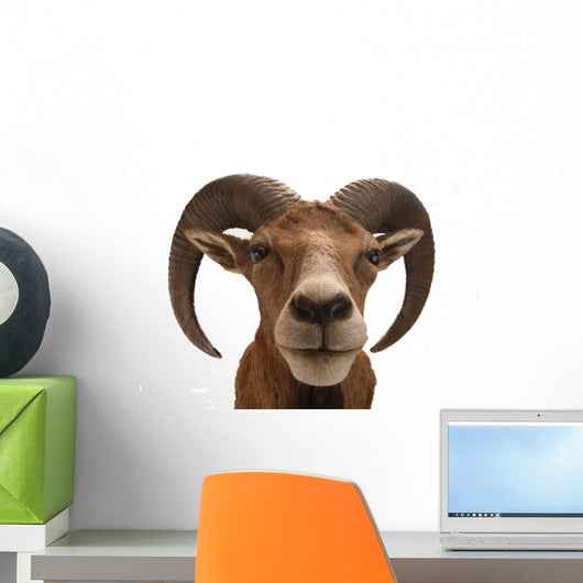 Mufflon 2 Wall Decal