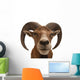 Mufflon 2 Wall Decal