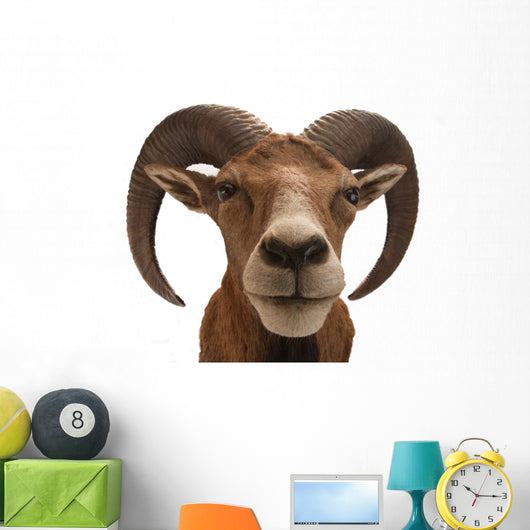 Mufflon 2 Wall Decal