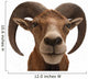 Mufflon 2 Wall Decal