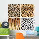 Animal Patterns Tiger and Wall Mural