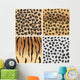 Animal Patterns Tiger and Wall Mural