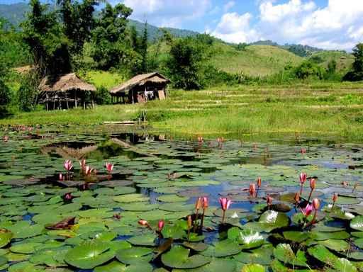 Peaceful Existence Wall Decal