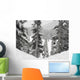Evergreens At Ski Resort, Whistler, British Columbia, Canada Wall Mural