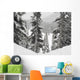 Evergreens At Ski Resort, Whistler, British Columbia, Canada Wall Mural