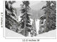 Evergreens At Ski Resort, Whistler, British Columbia, Canada Wall Mural