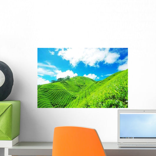 Tea Plantation Cameron Highland Wall Decal Design 3