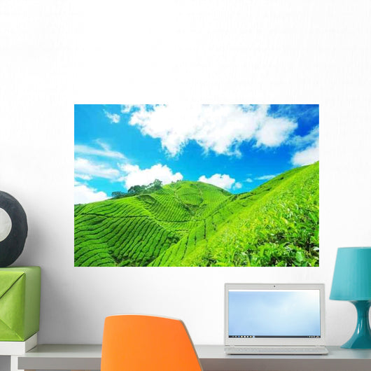 Tea Plantation Cameron Highland Wall Decal Design 3