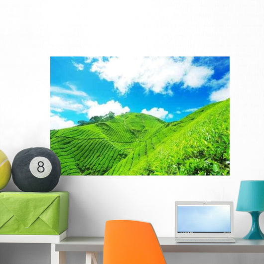 Tea Plantation Cameron Highland Wall Decal Design 3