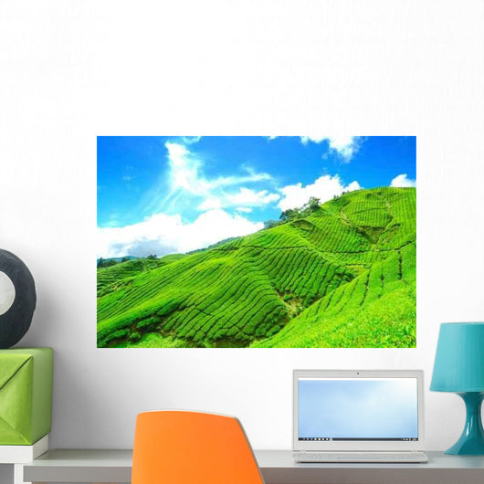 Tea Plantation Cameron Highland Wall Decal Design 2