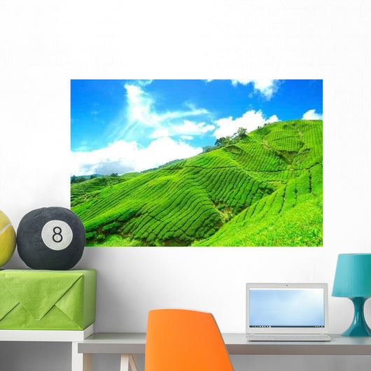 Tea Plantation Cameron Highland Wall Decal Design 2